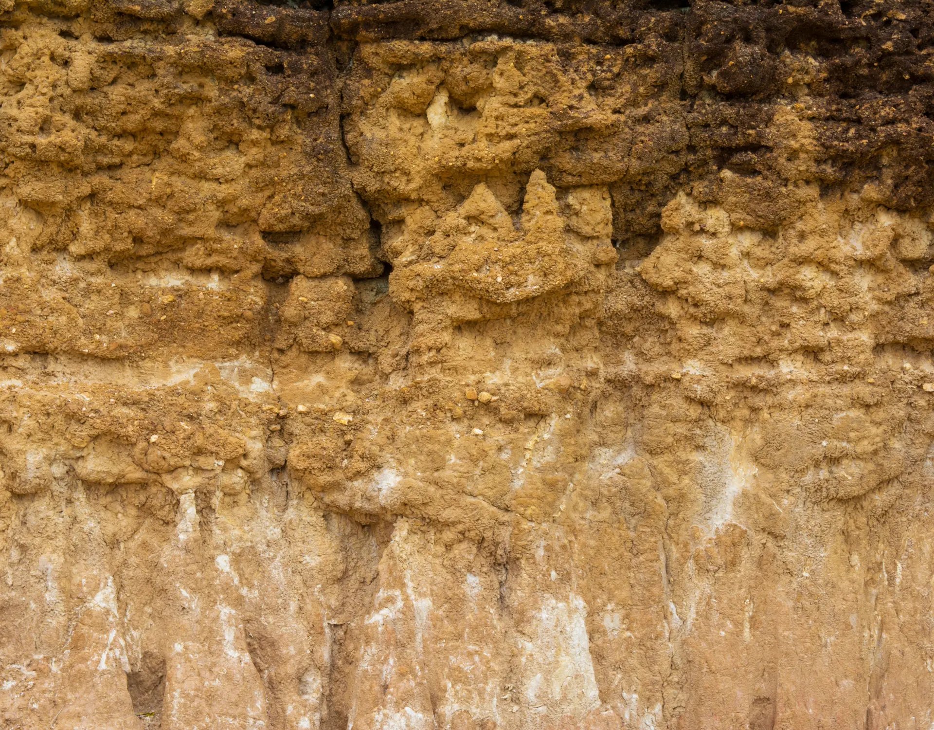 How Beneficial Microbes Can Help A Healthy Farms-2