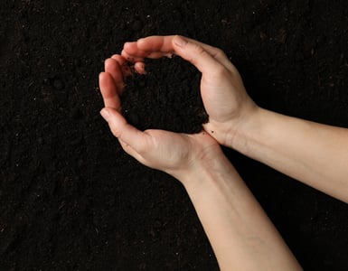 new blog headers (18) copy