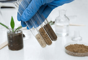 análisis biológico del suelo