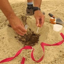 Un nuevo proyecto en fields4ever